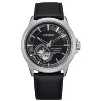 Watch Citizen Man Supertitanium Meccanico in Titanium NH9120-11E